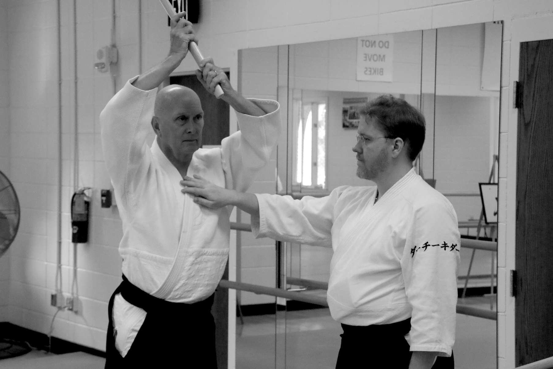 Bokken Training Practice